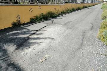 Abandono del Parque de las Mil Palmeras del Valle de Jinámar/TA.